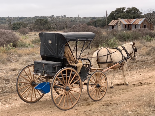 MODERN EASY ENTRY BUGGY